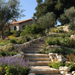 Giardini Moderni Mediterranei
