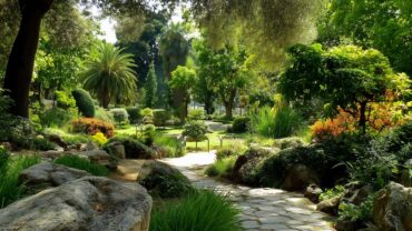 giardini mediterranei