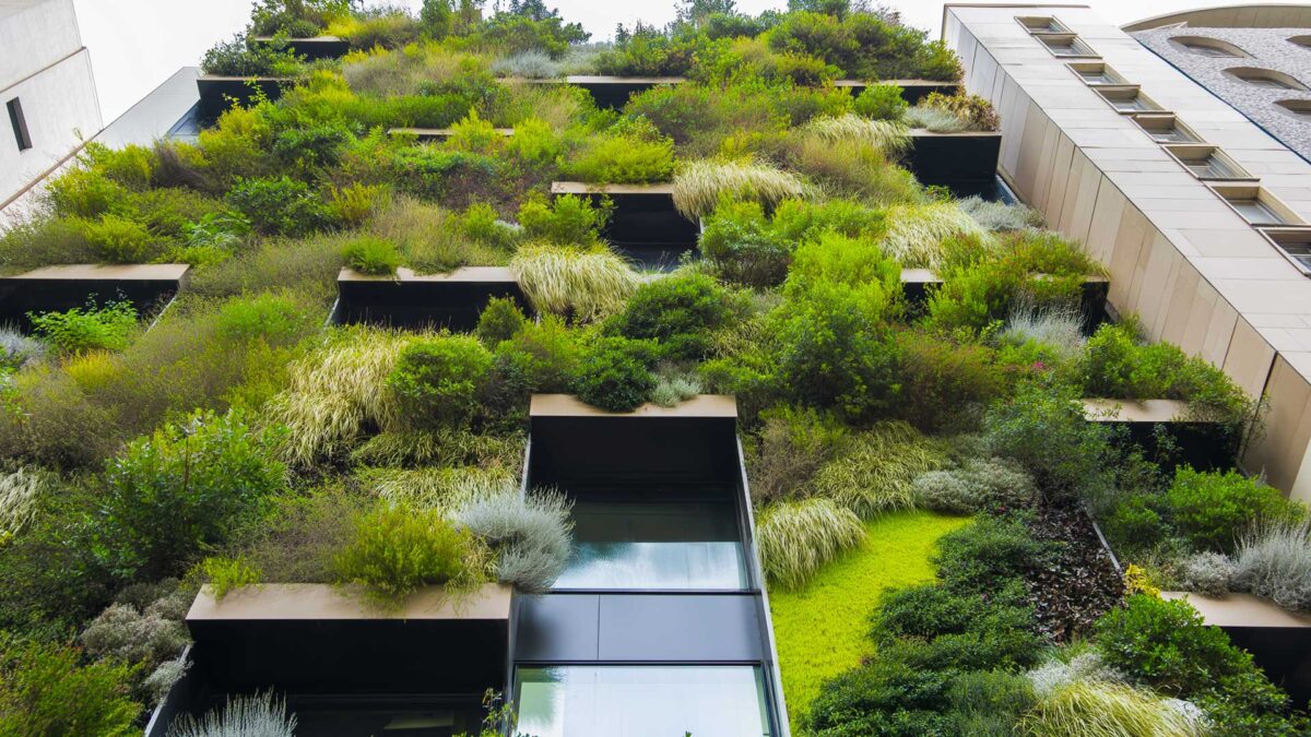 giardini verticali