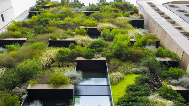 giardini verticali