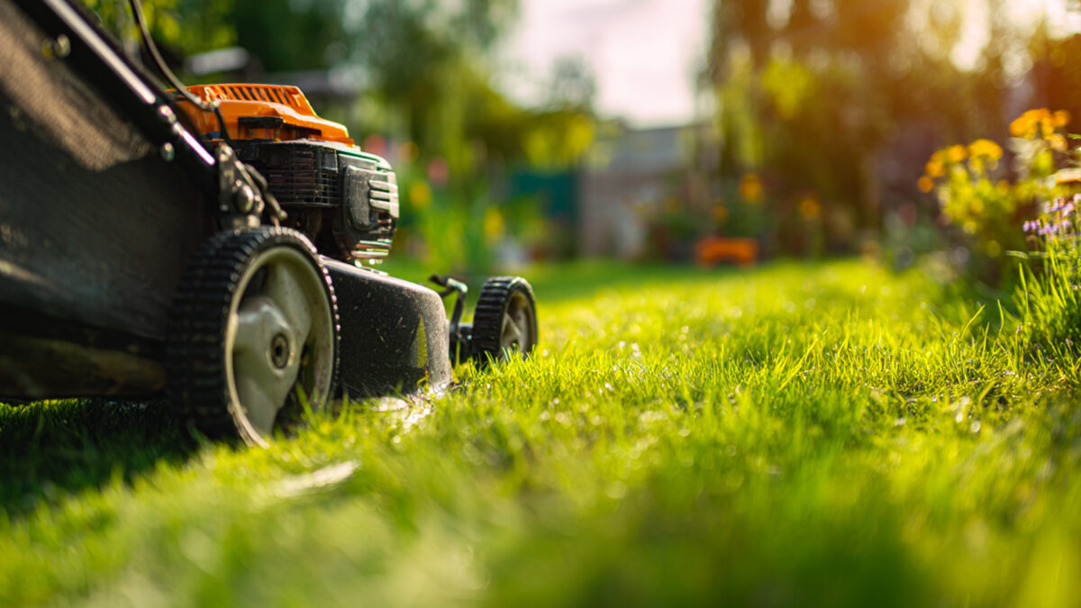 Manutenzione Giardini Vicino a Me