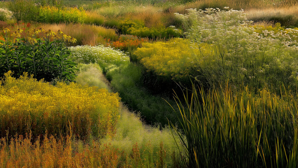 garden-dow