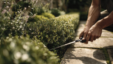 manutenzione verde pubblico